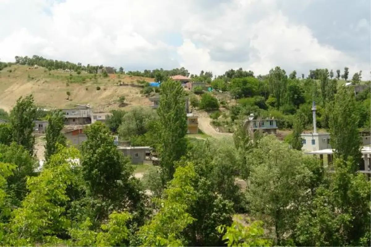 Gölbaşı'nda Kuduz Karantinası