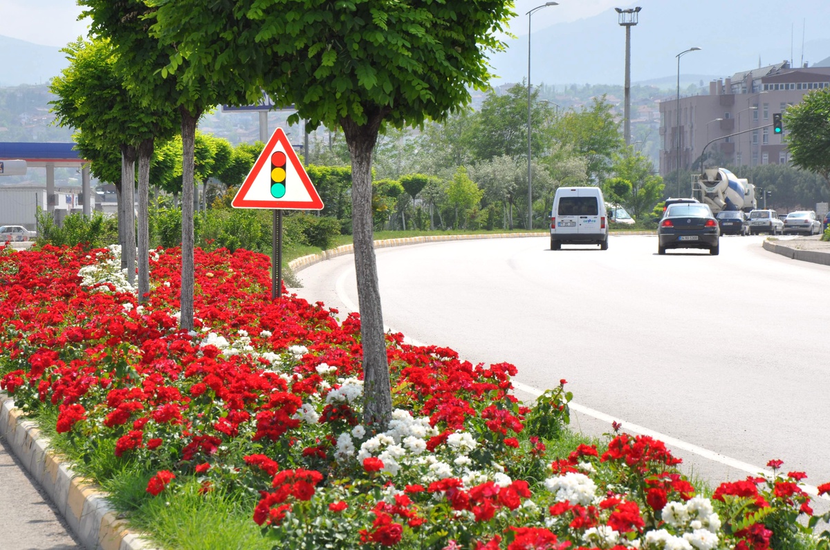 Karabük Caddeleri Çiçekleri ile Göz Kamaştırıyor