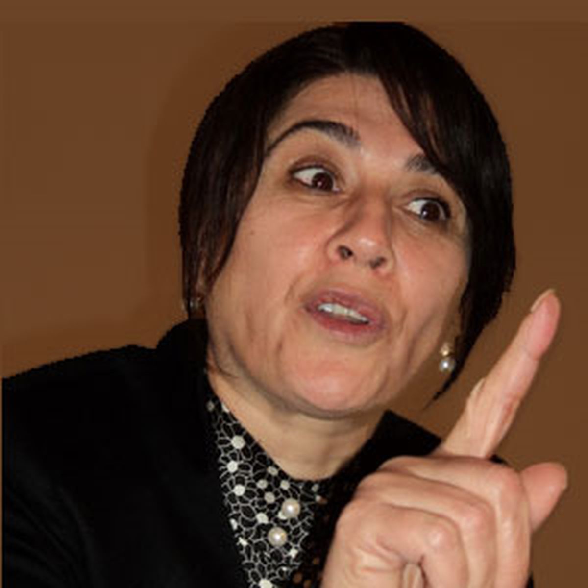 "Kürtler Kendi Kaderini Tayin Etmelidir"