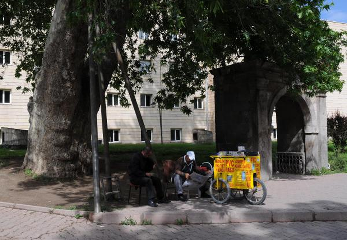 Tarihi Çınar, Destekle Devrilmekten Kurtuldu