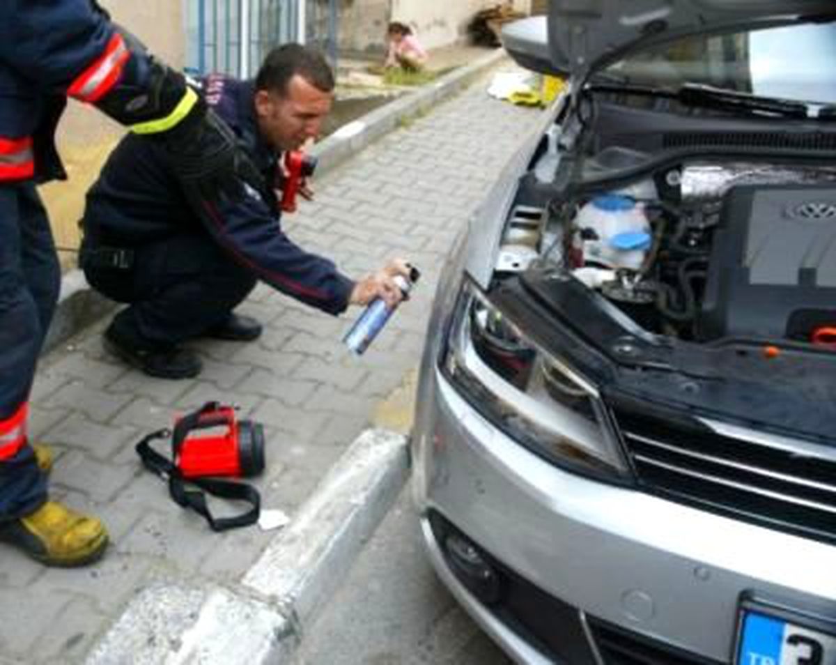 Tuzla'da Sineksavarlı Yılan Operasyonu