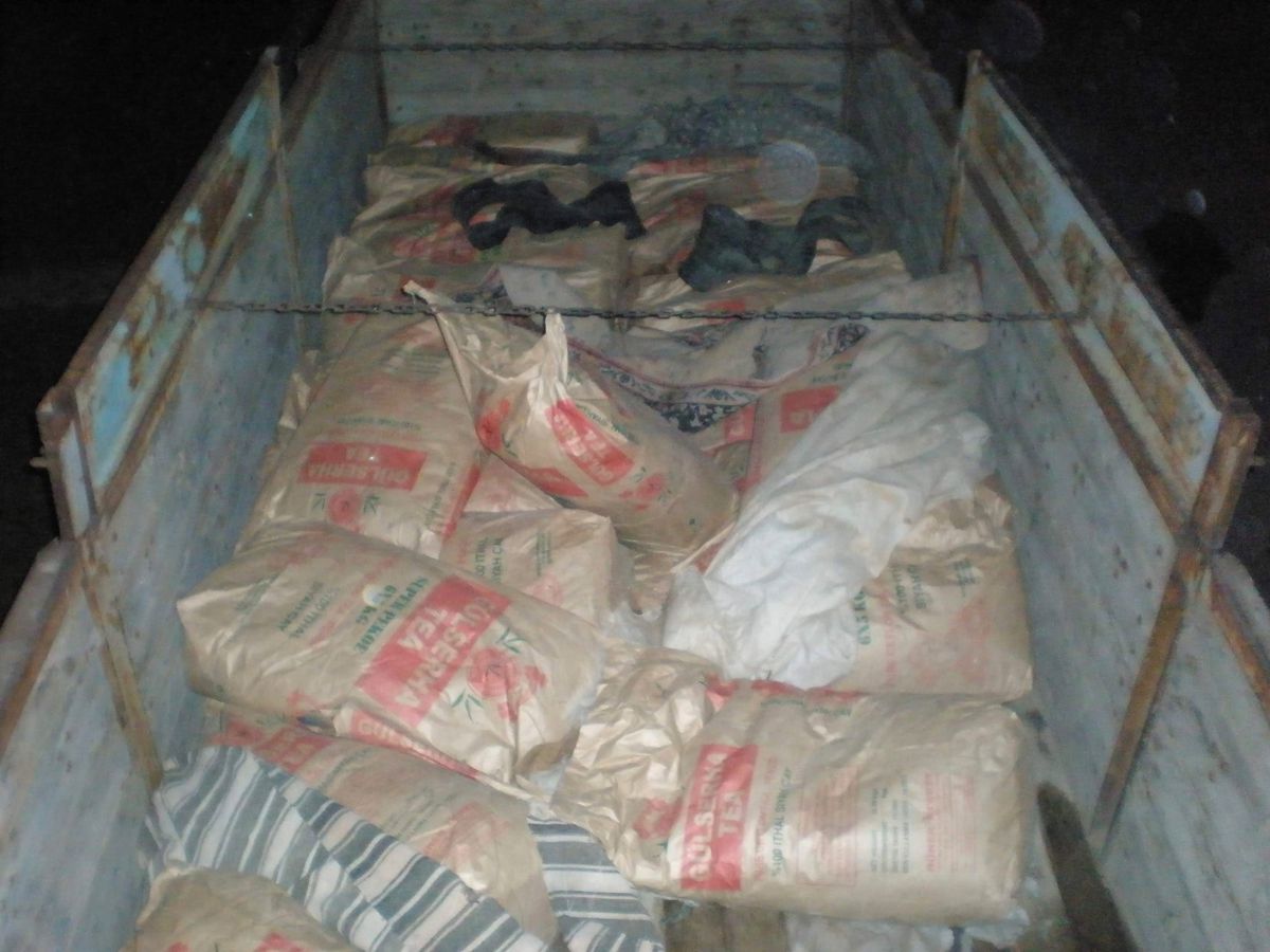 Van\'da Kaçak Avlanmış 15 Bin 520 Kilo Balık Ele Geçirildi
