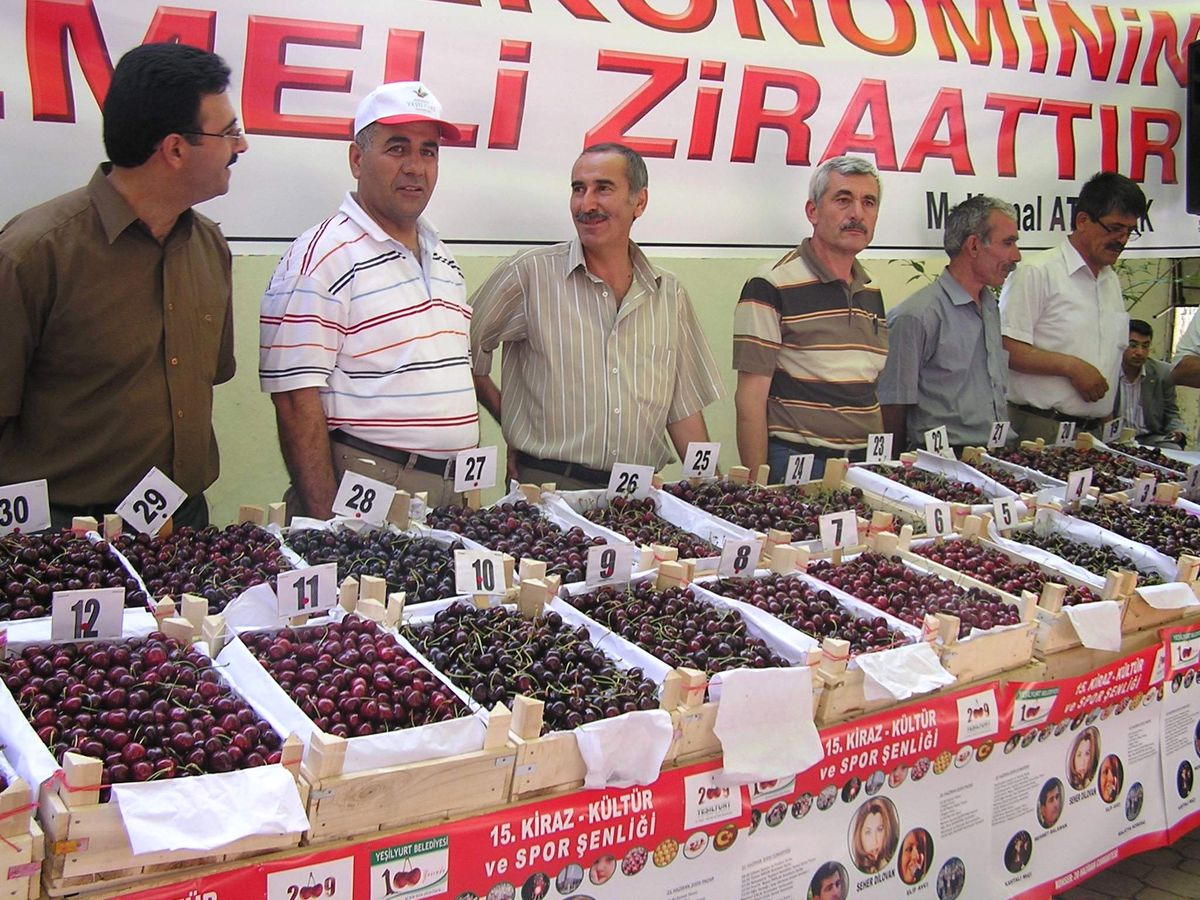 Yeşilyurt Kiraz Şenlikleri 23 Haziran'da Başlıyor