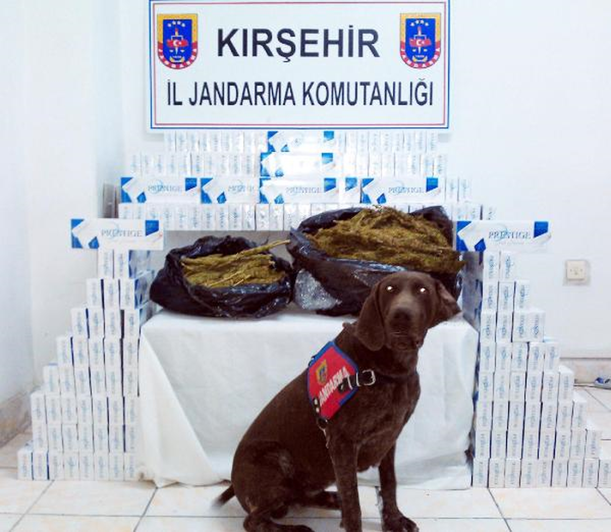 Yolcu Otobüsünde Esrar ve Kaçak Sigara Ele Geçirildi