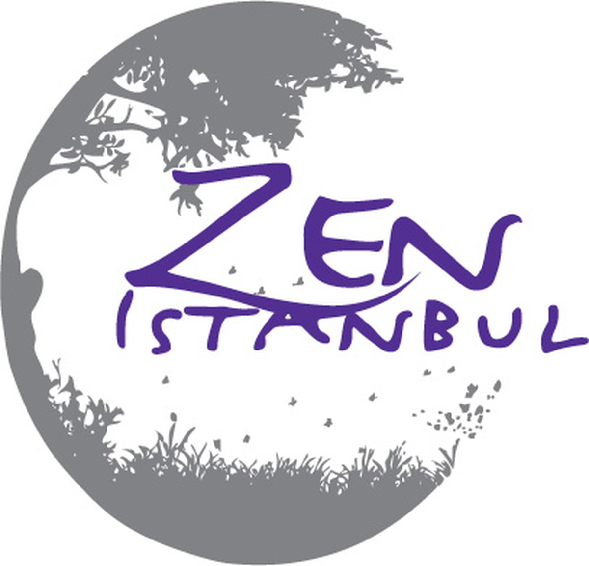Zenİstanbul Medya Planlama ve Satın Alma Ajansı