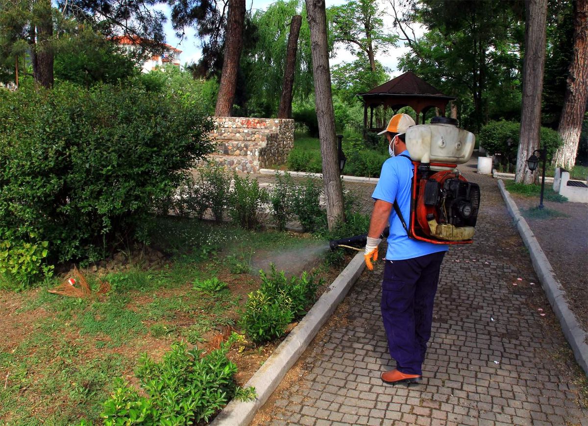 Belediyeden Keneye İlaçlı Önlem