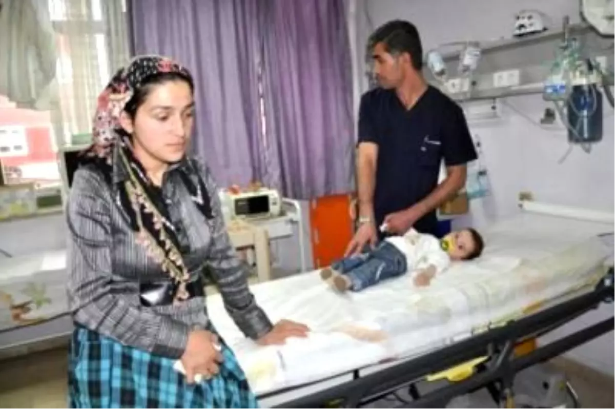 Jandarmanın İmha Ettiği Gaz Bombası Köylüleri Etkiledi