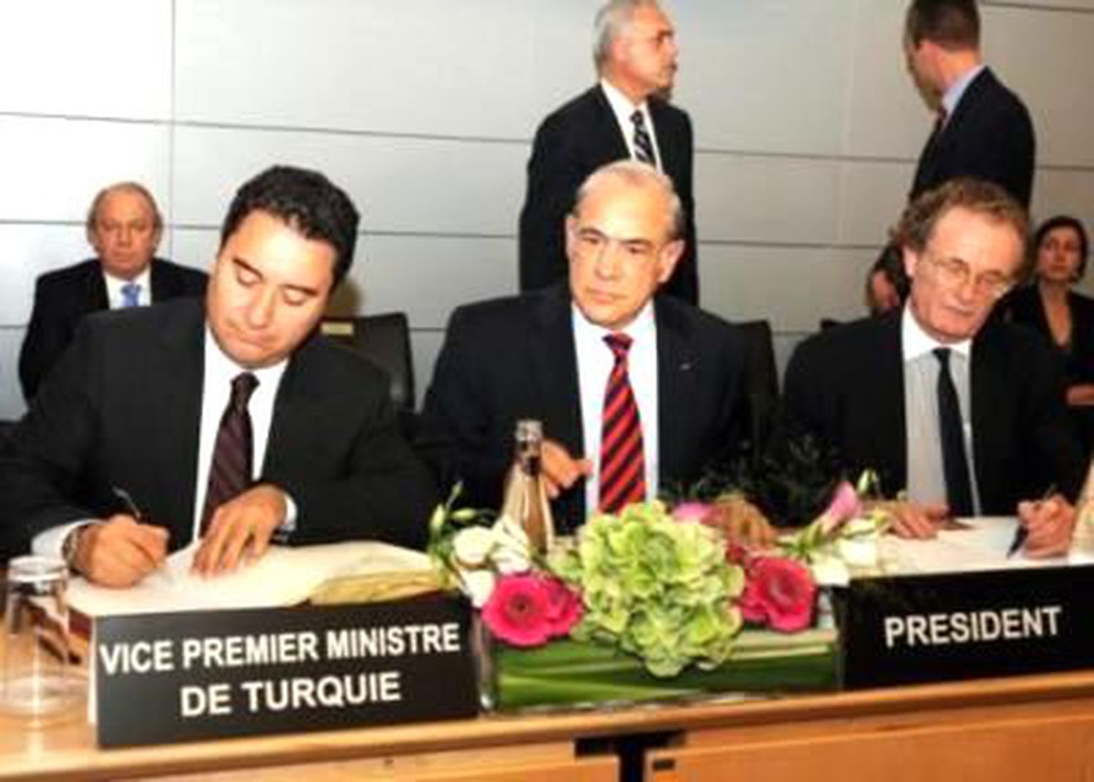 "Oecd Kritik Role Sahip"