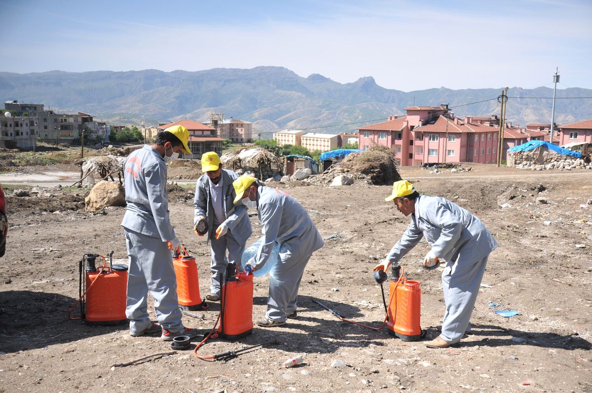 Şırnak Belediyesi İlaçlama Çalışması Başlattı