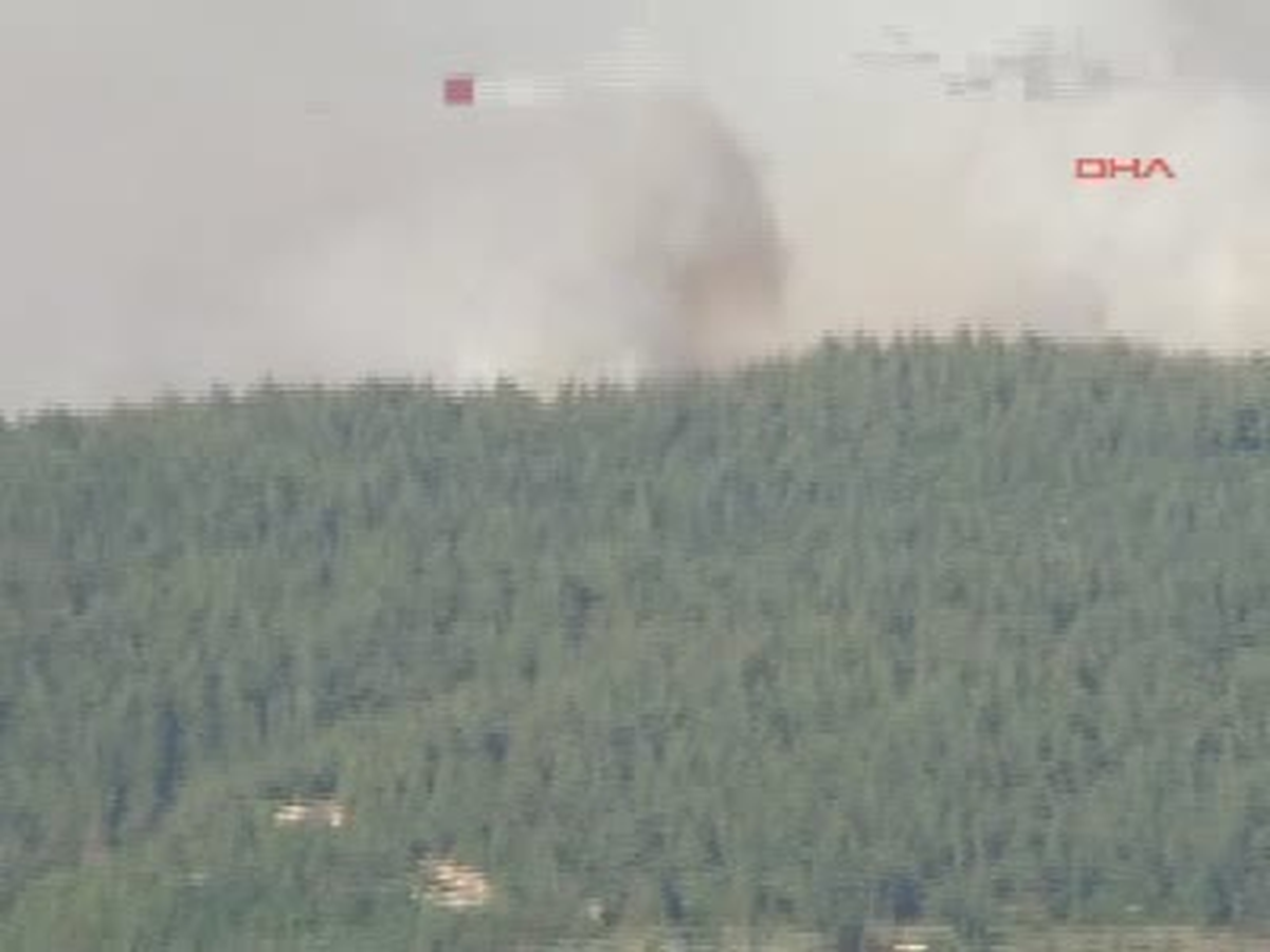 Suriye Sınırında Orman Yangını Panik Yarattı