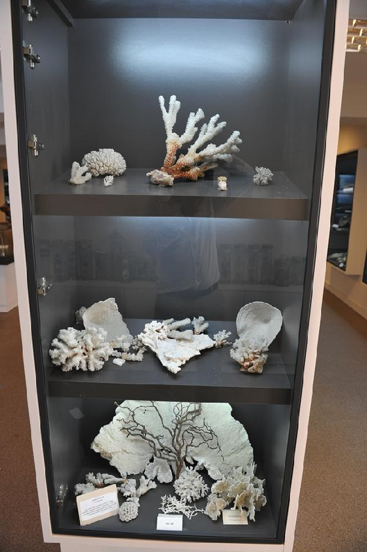 Deniz Müzesi Ziyaretçilerini Bekliyor