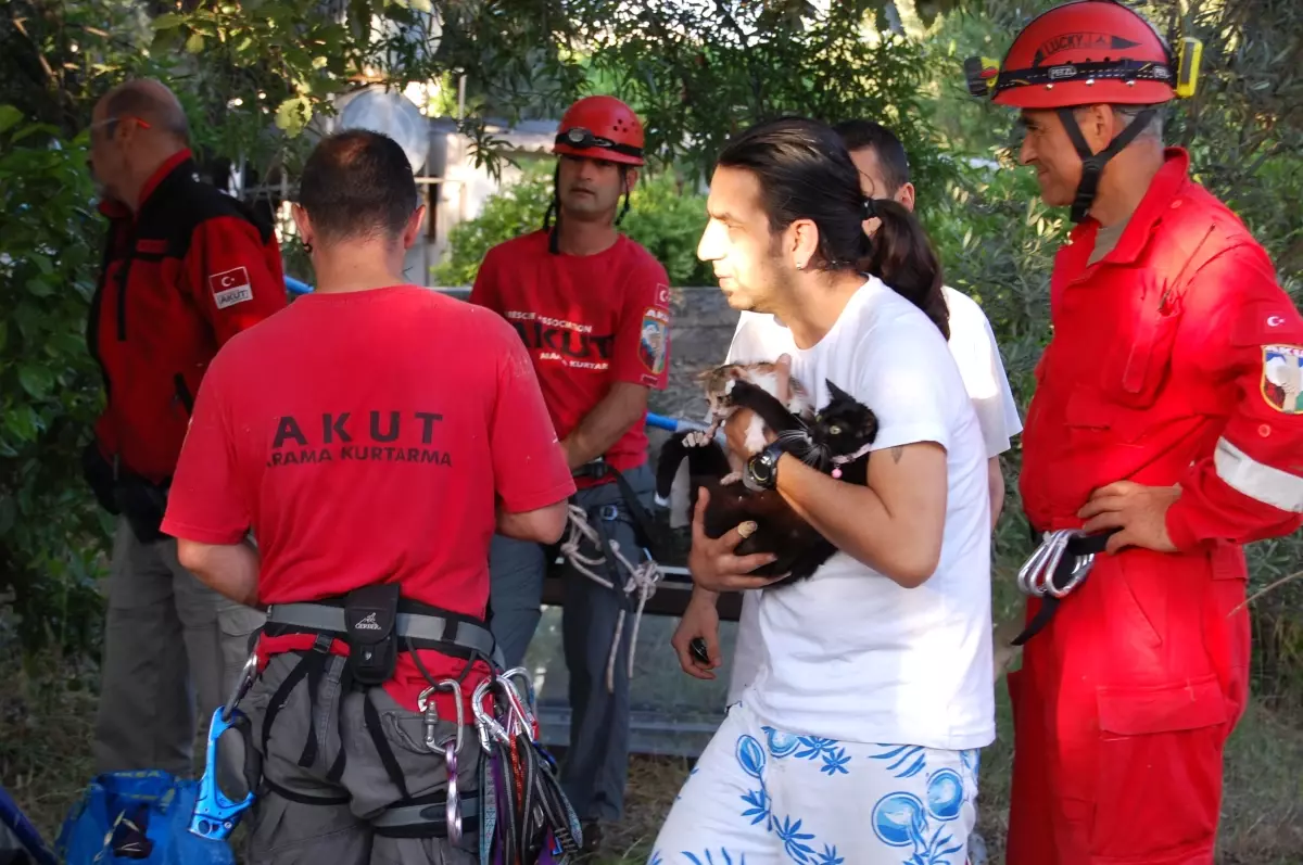 Minik Kedinin İmdat Çığlıkları Karşılıksız Kalmadı