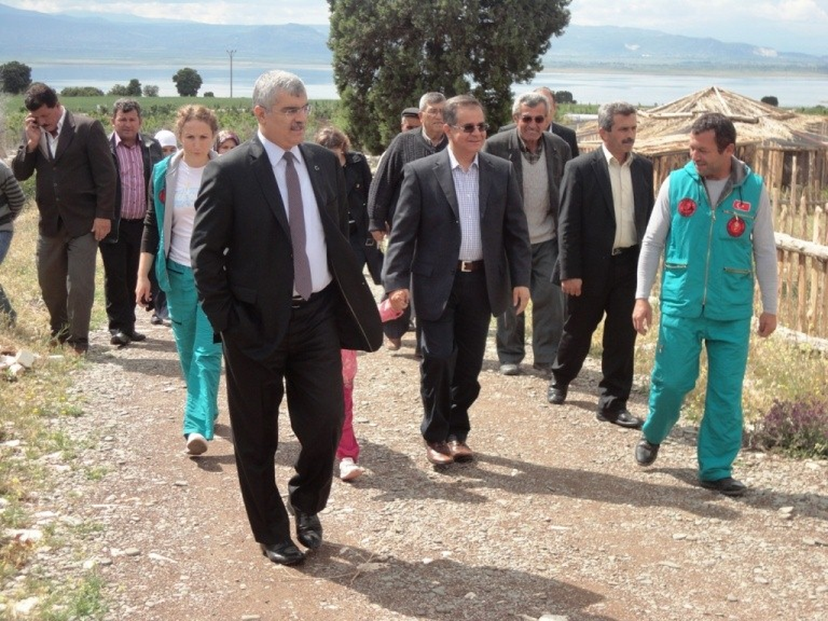 Vali Tapsız, Lisinia\'yı Gezdi