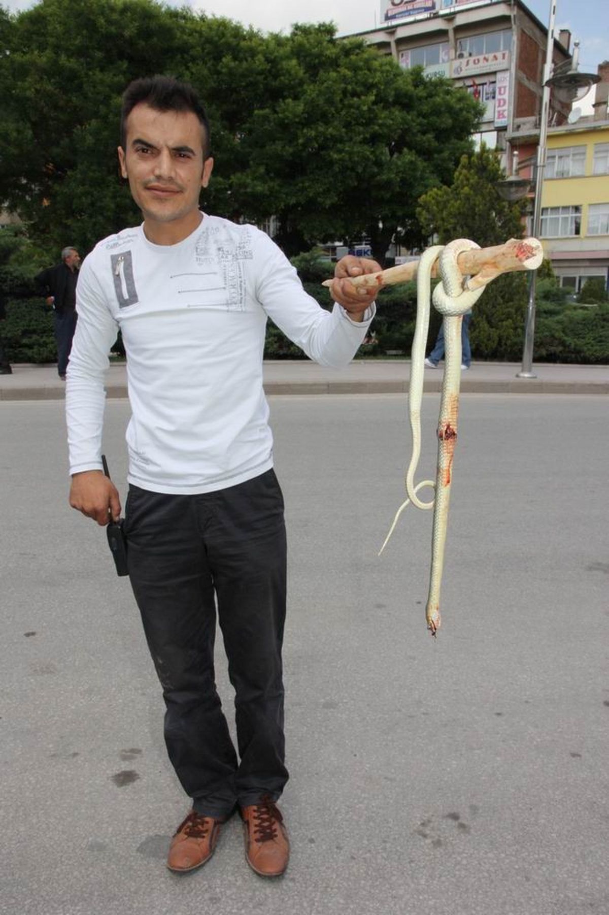 Yastık Altından Yılan Çıktı