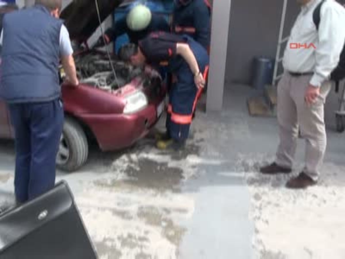 Yılan Bulunamadı Sürücü de Beklemedi