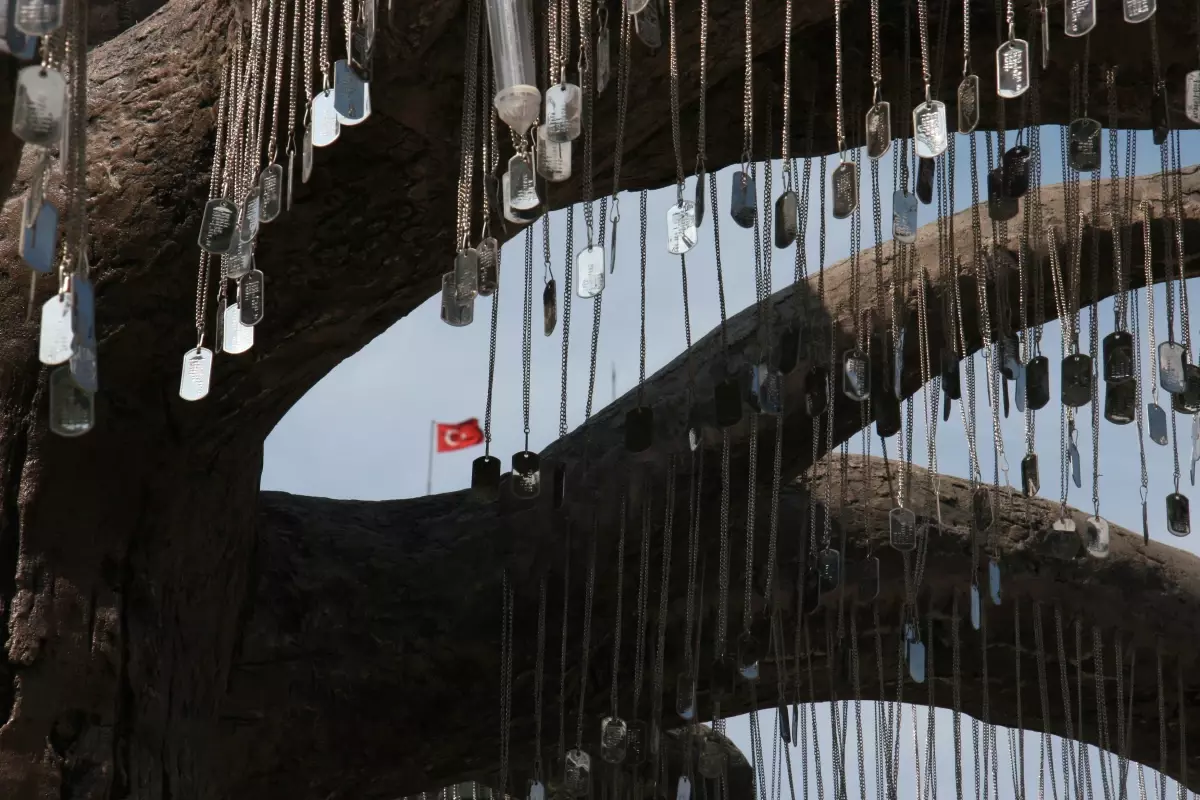 1445 Şehidin Künyesi Ağaca Asıldı