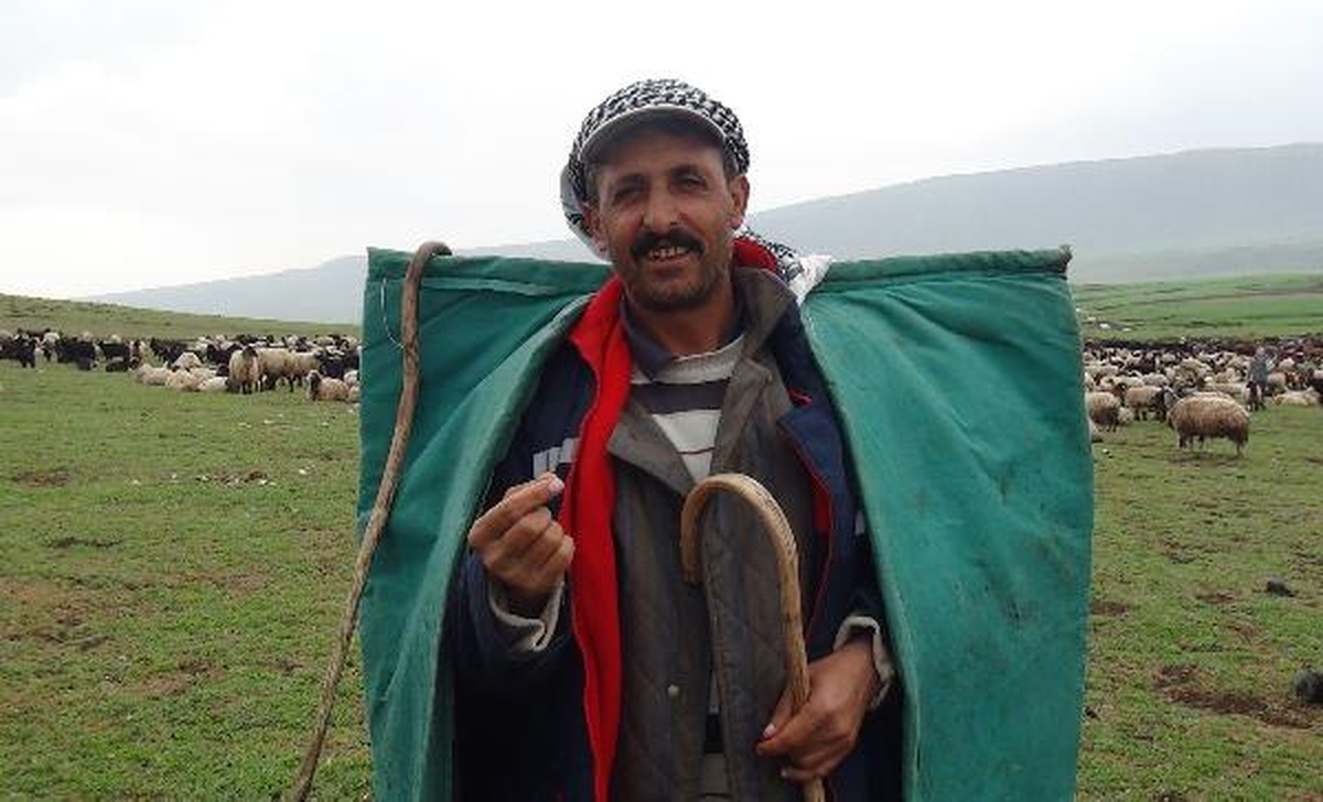 2 Bin 500 TL Maaşı Duyan Çobanlar Geri Döndü