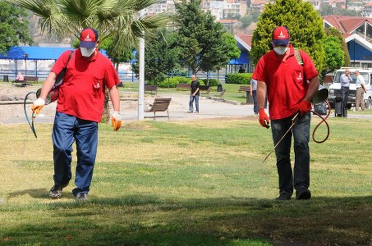 İzmir'de 'Kene' Önlemi