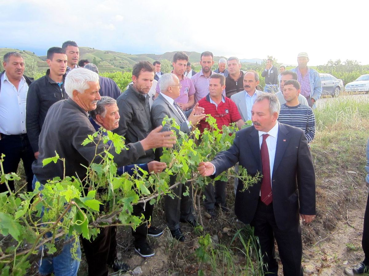 Ören, Manisa'daki Dolu Afetini Meclis Gündemine Taşıdı