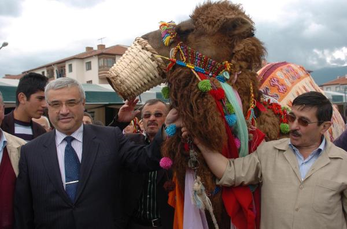 Yardım İçin Açık Arttırmaya Çıkarılan Deve 45 Bin Liraya Satıldı