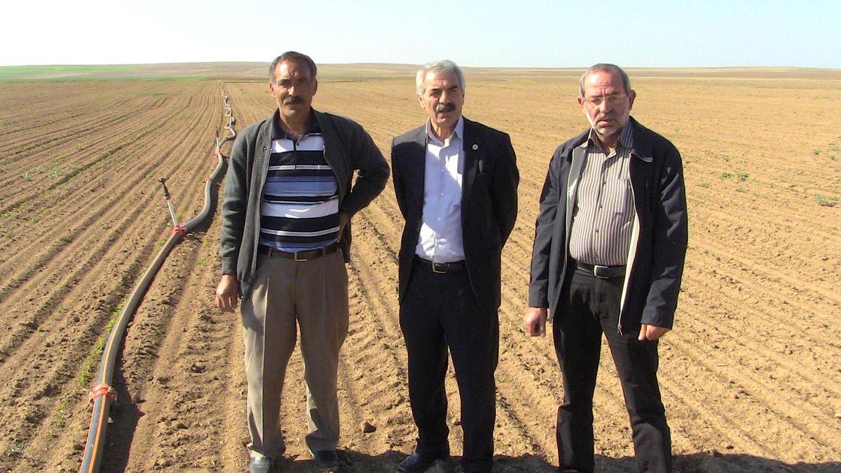 Kulu'da Soya Fasulyesi Üretilecek