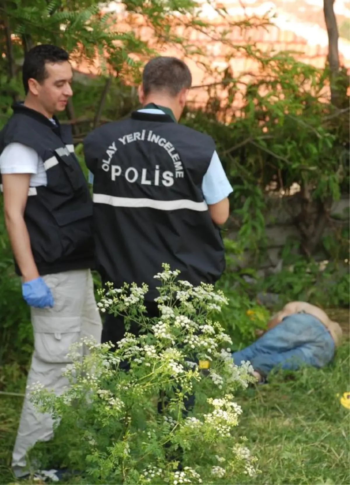 Ağaç Dibinde Öldü, Cesedini Erik Toplayan Çocuklar Buldu