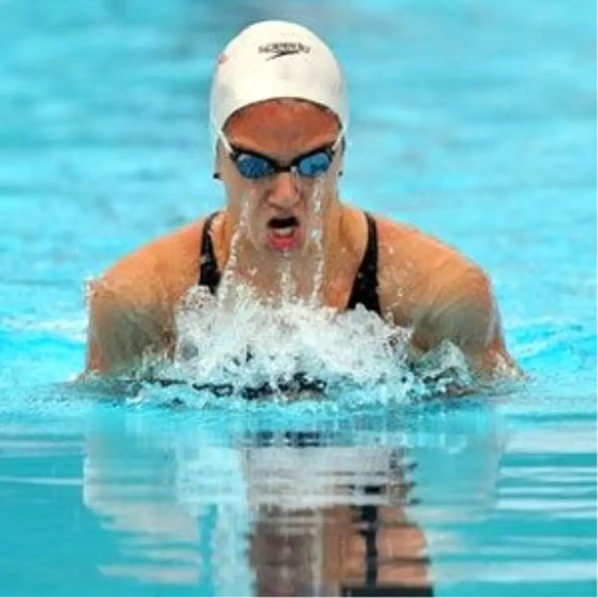 Avrupa Yüzme Şampiyonası