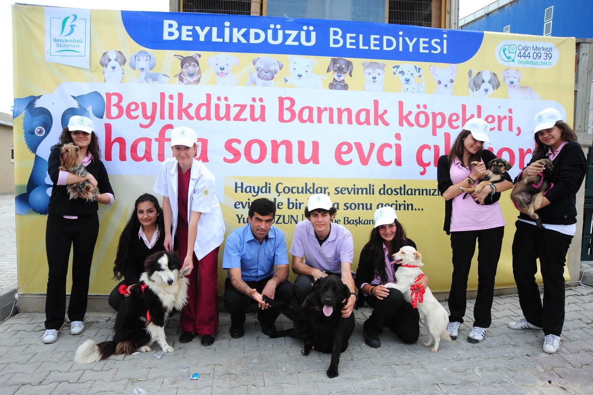 Beylikdüzü Barınağındaki Hayvanlar Evci Çıkıyor