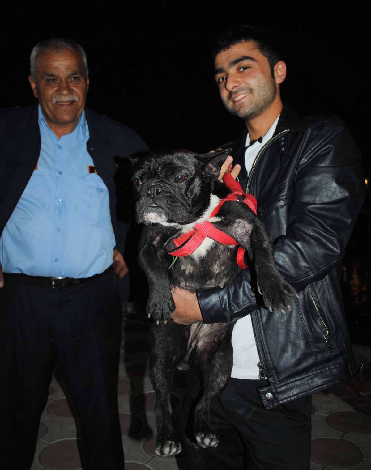 Irmağa Düşen Köpek Kurtarıldı