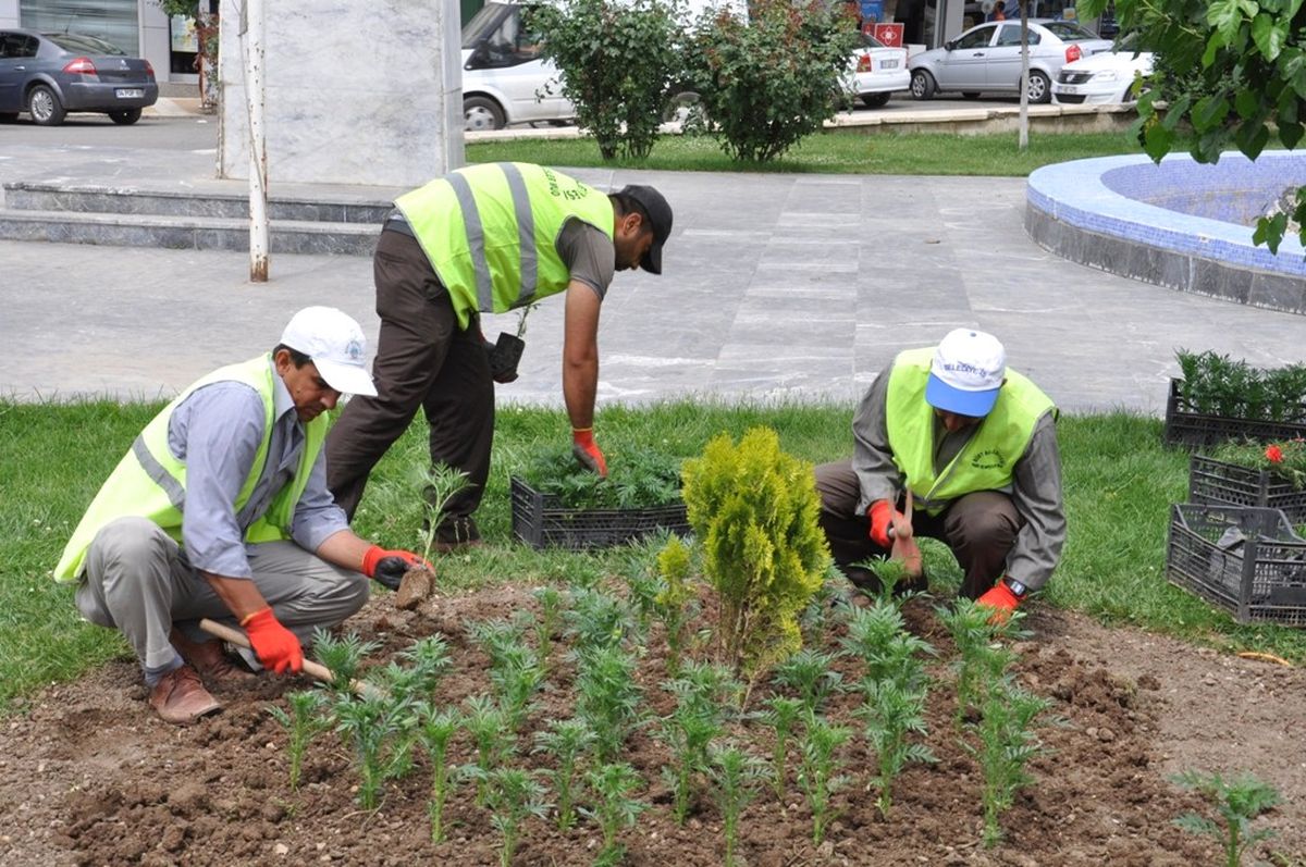 50 Bin Mevsimlik Çiçek Dikme Çalışması Başladı