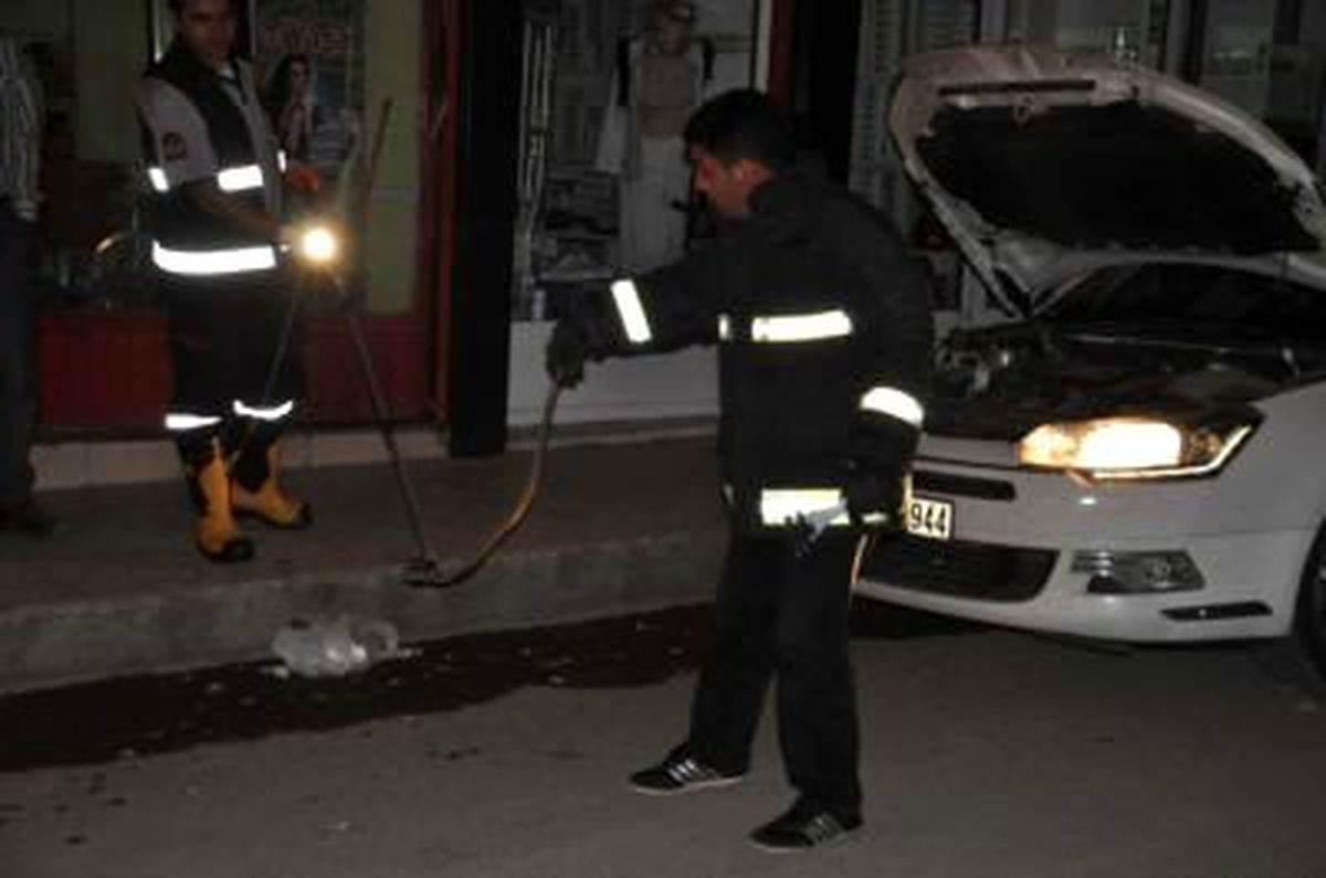 Arabada Yılan Avı