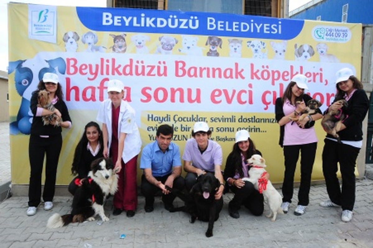 Beylikdüzü Barınağındaki Hayvanlar Evci Çıkıyor