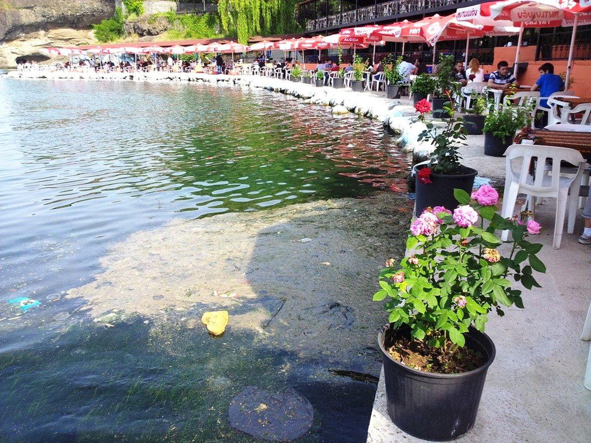 Denizdeki Kirliliğe 'Çiçek'li Makyaj