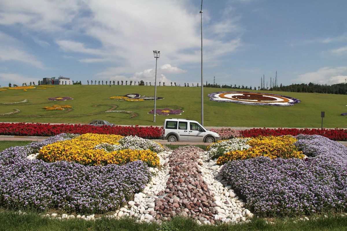 Denizli Rengarenk Çiçek Açtı