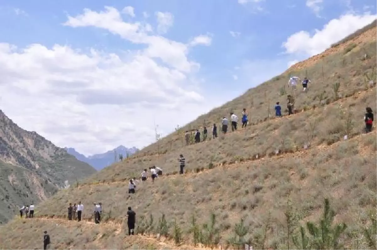 Hakkari\'de Korunma ve Bakım Altındaki 100 Çocuk Adına Hatıra Orman