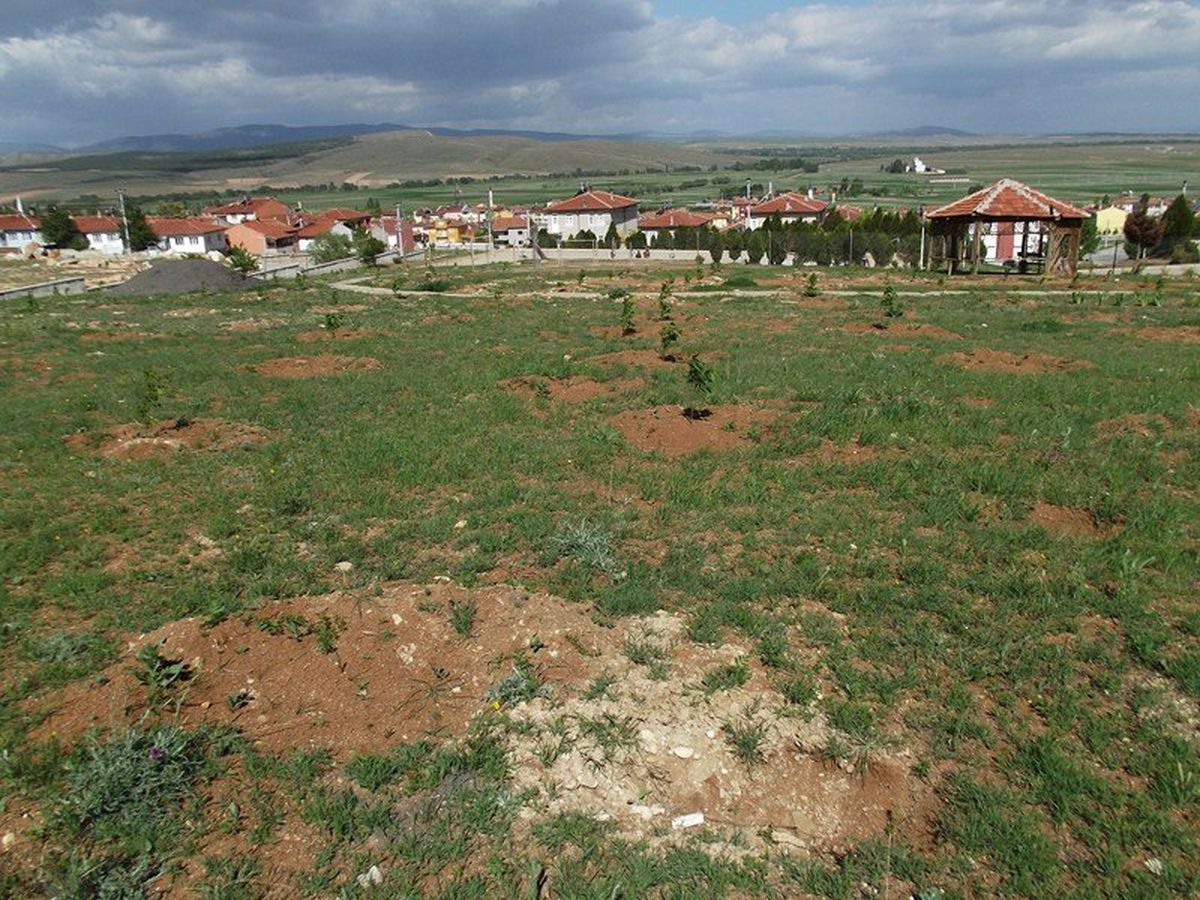 Proje Fidanları 'Su' Bekliyor