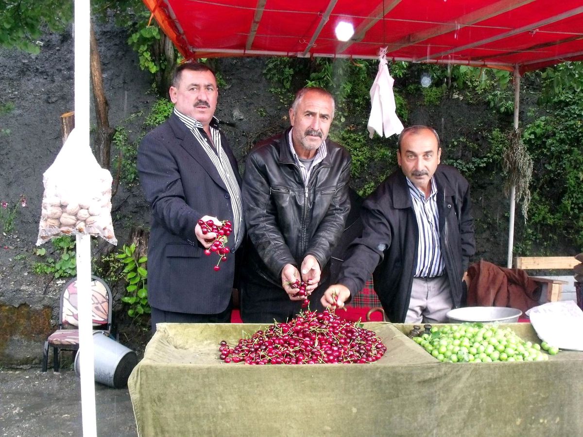 Salihli'de Kiraz Üreticilerini Dolu Vurdu
