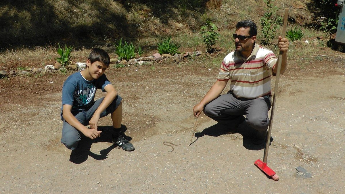 Sıcaklarla Birlikte Yılan ve Akrepler Arttı