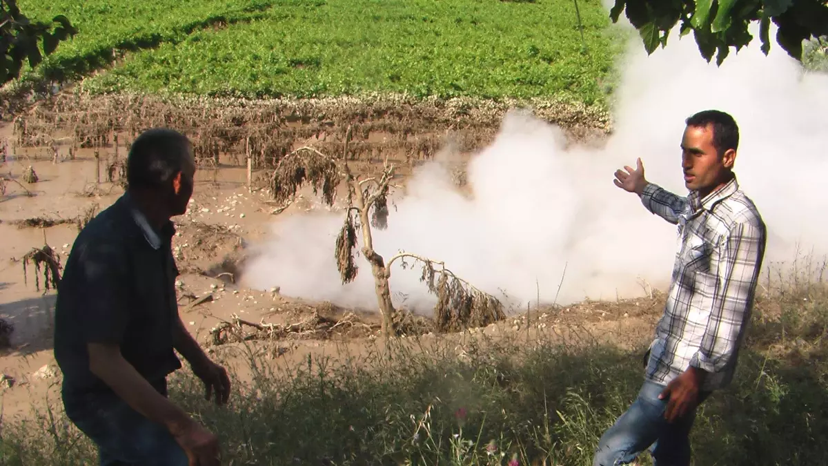 Üzüm Bağında Jeotermal Patlamalar Sürüyor