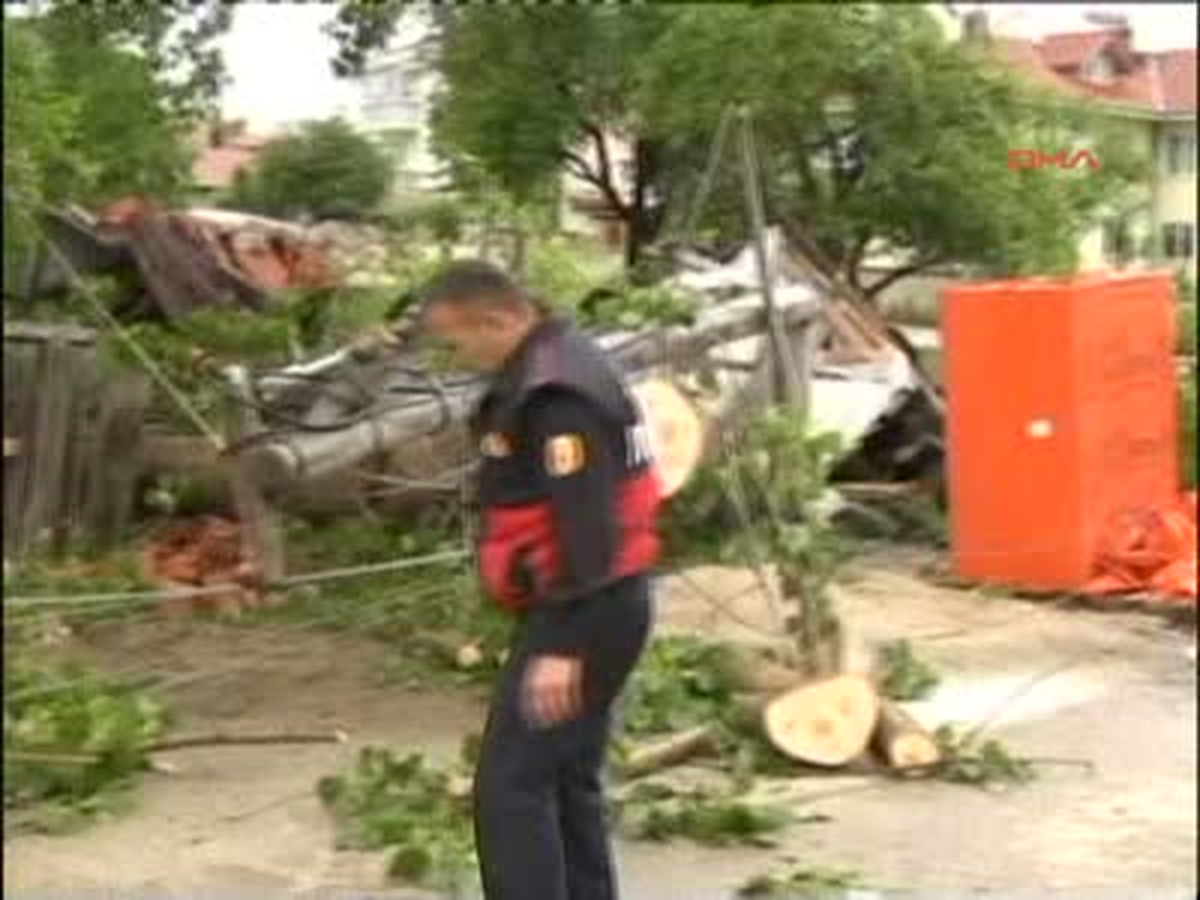Yıldırımın Düştüğü Ağaç Otomobilin Üzerine Devrildi