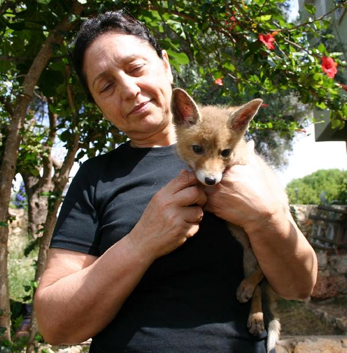 Yolunu Kaybeden Yavru Tilkiyi Köpek Emziriyor