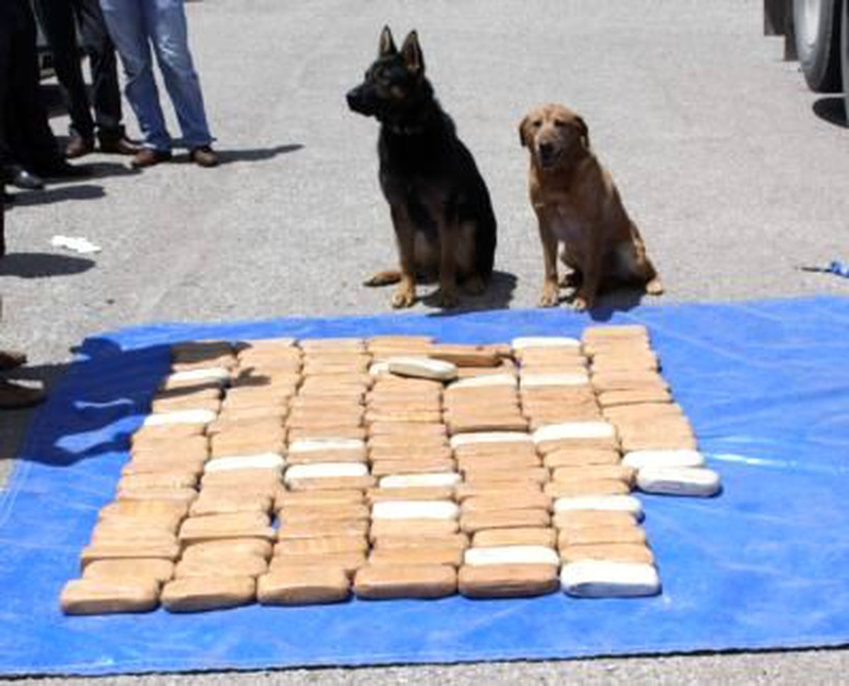 3 İlde Uyuşturucu Operasyonu