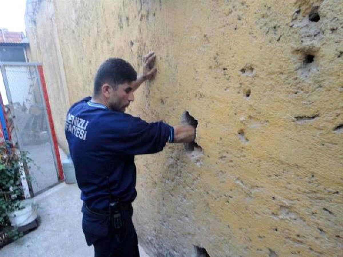 İki Duvar Arasına Sıkışan Kediyi İtfaiye Kurtardı