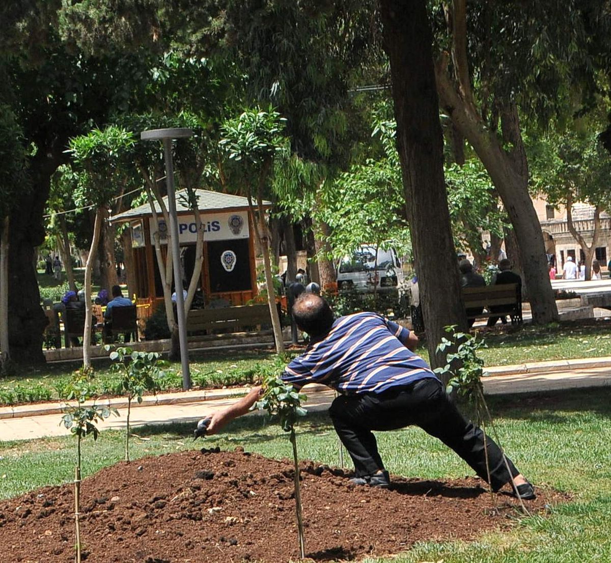 Karganın Annelik Duygusu
