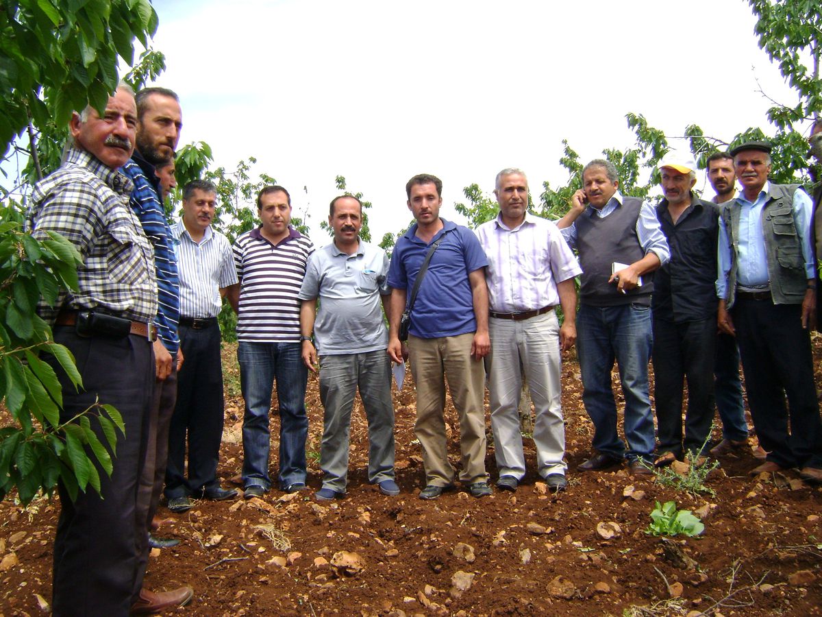 Kiraz Entegre Mücadelesi Başladı
