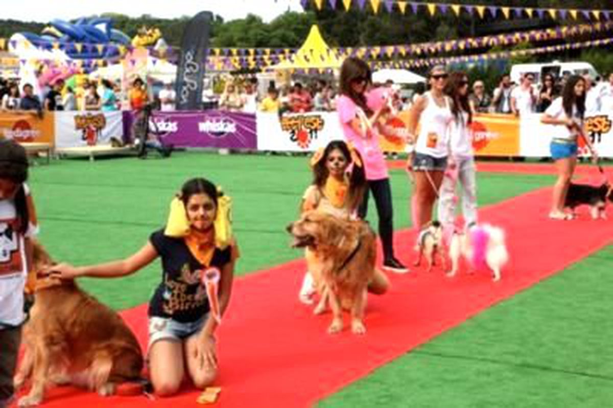 Petfest 2012 İçin Geri Sayım Başladı!