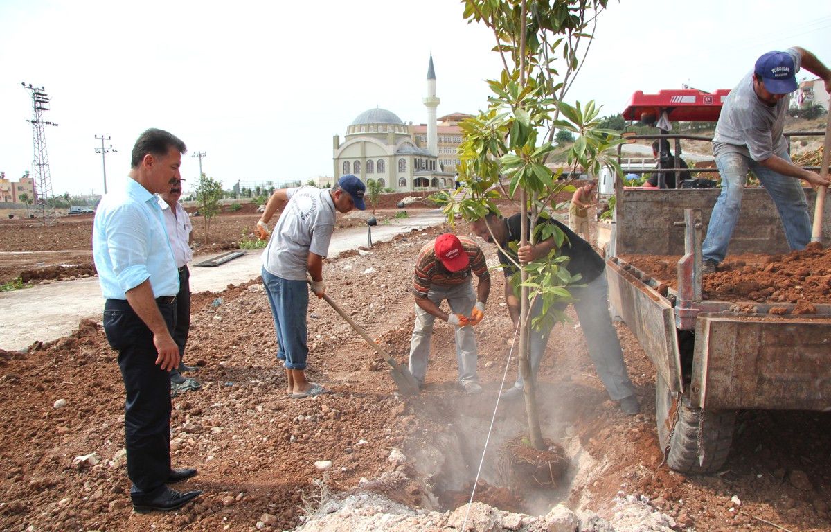 Toroslar İlçesi Yeşilleniyor