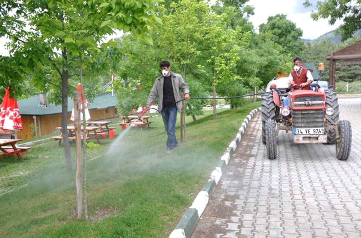 Tosya Belediyesi Kene ile Mücadeleye Başladı