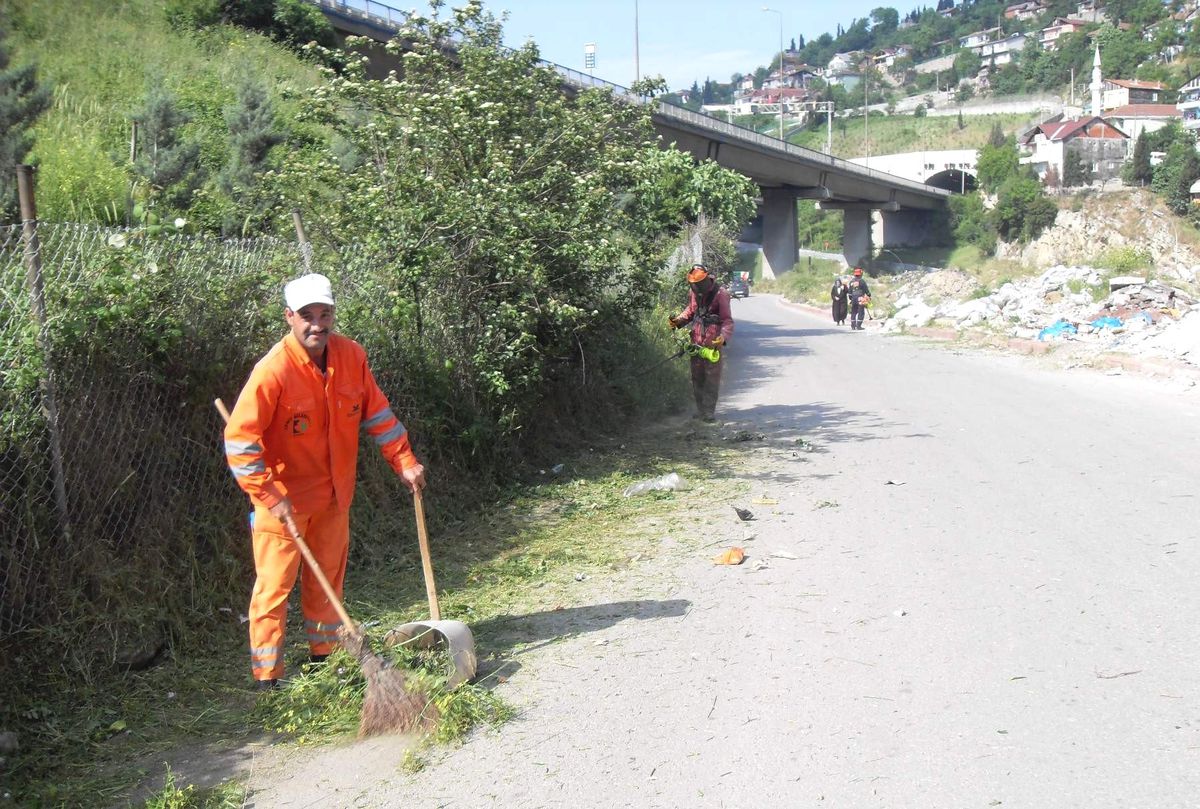 Yangına Karşı Otlar Kesiliyor