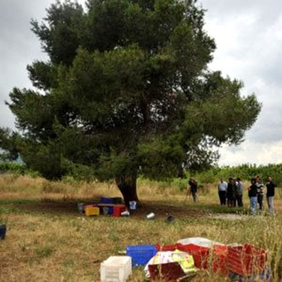 Yıldırım Düşen Ağacın Altında 2 Ölü, 2 Yaralı (3)